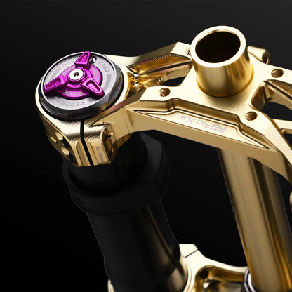 Rfloxa Hawk 31 Max Gold