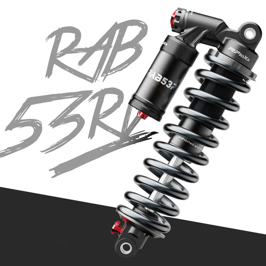 Rfloxa Rab53Rv