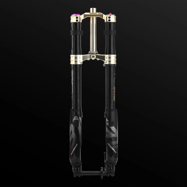 Rfloxa Hawk 31 Max Gold