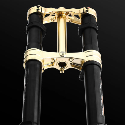Rfloxa Hawk 31 Max Gold